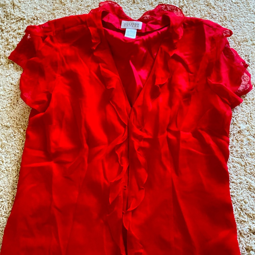 Silk Allison Taylor top -large